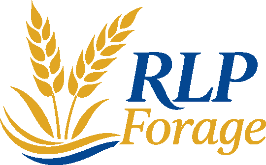 Партнёр rlp
